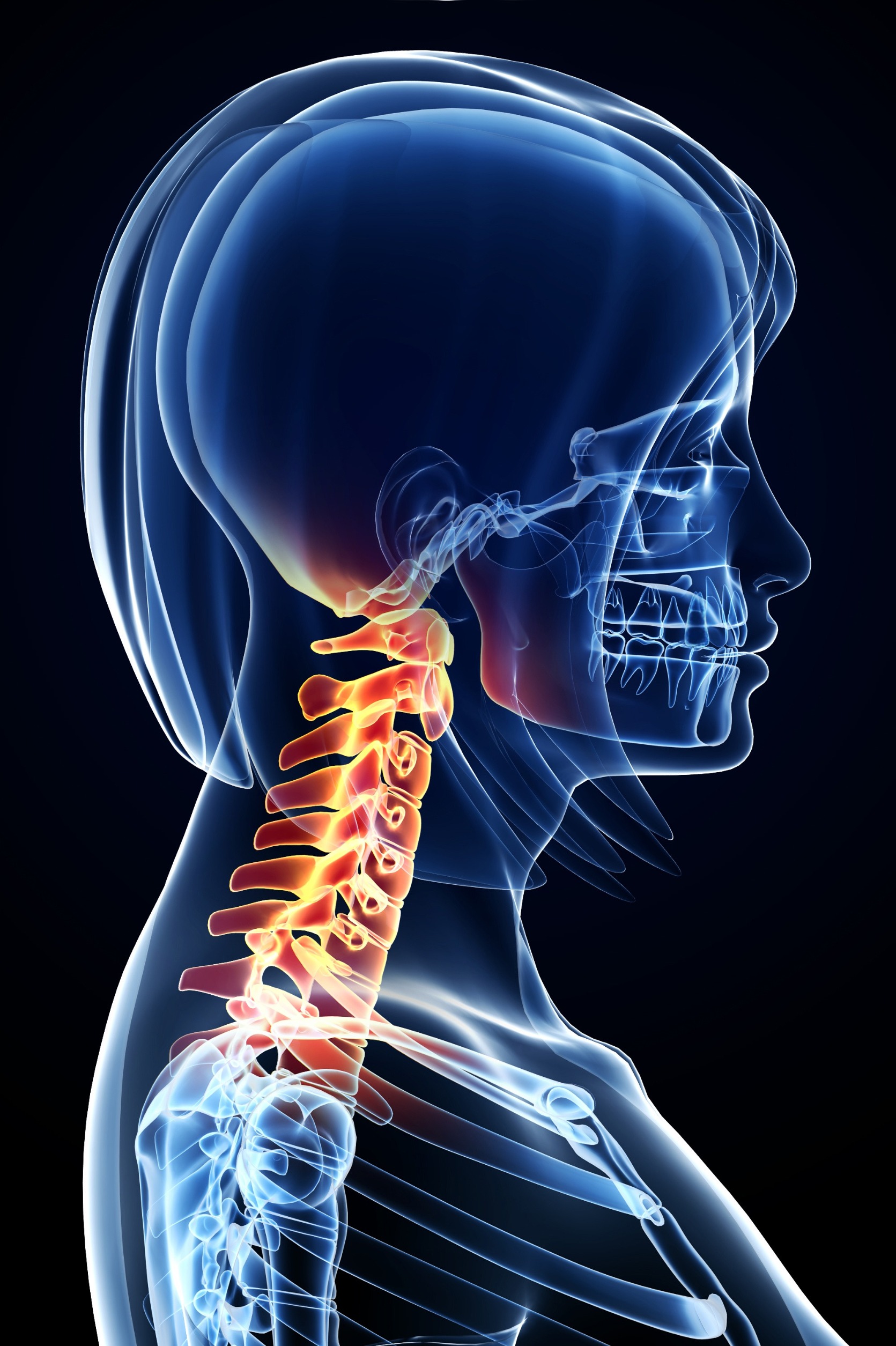 Chiropractor Joints Safety Harbor Florida