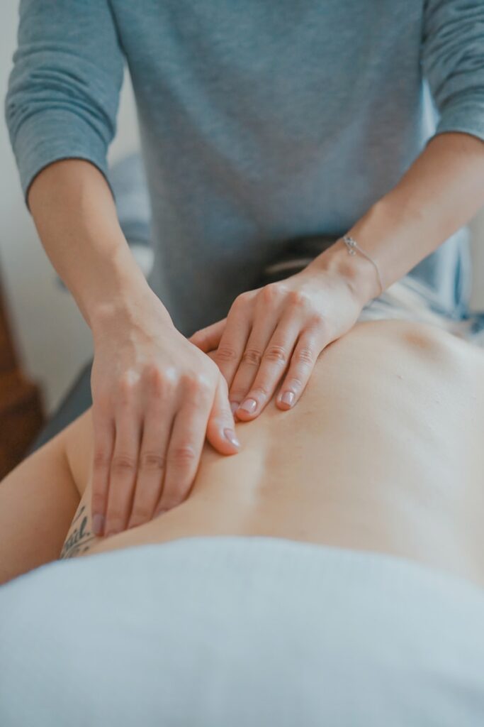 chiropractor palm harbor florida